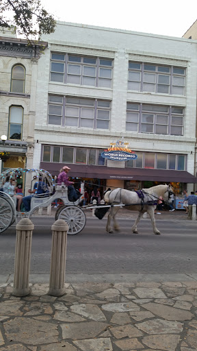 Museum «Guinness World Records Museum», reviews and photos, 329 Alamo Plaza, San Antonio, TX 78205, USA