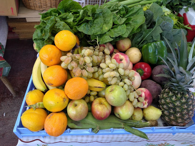 Opiniones de Frutas y verduras "Donde la Carmencha" en Viña del Mar - Frutería