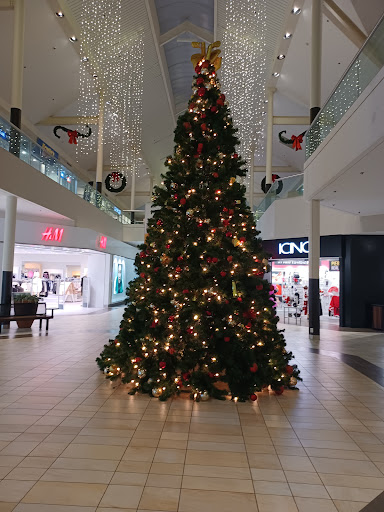 Shopping Mall «Rolling Oaks Mall», reviews and photos, 6909 N Loop 1604 E, San Antonio, TX 78247, USA