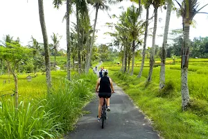 Ubud Cycling Tours - eBikes Bali image