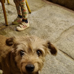 Photo n° 5 de l'avis de Thomas.e fait le 02/10/2021 à 11:20 pour Restaurant U Spuntinu à L'Île-Rousse