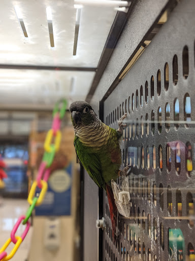Pet Supply Store «PetSmart», reviews and photos, 8111 Brier Creek Pkwy, Raleigh, NC 27617, USA