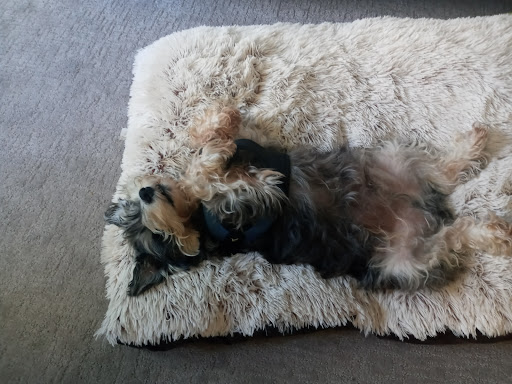 Golf Course «Interbay Golf Center», reviews and photos, 2501 15th Ave W, Seattle, WA 98119, USA