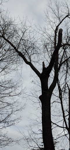 Park «Robsion Park», reviews and photos, Robsion Park Dr, Lyndon, KY 40222, USA