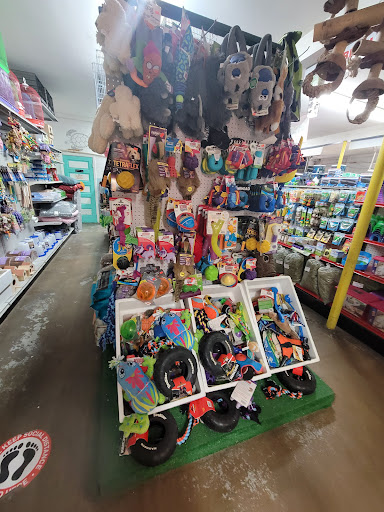 Pet Store «Southside Aquatics», reviews and photos, 2039 Pleasanton Rd, San Antonio, TX 78221, USA