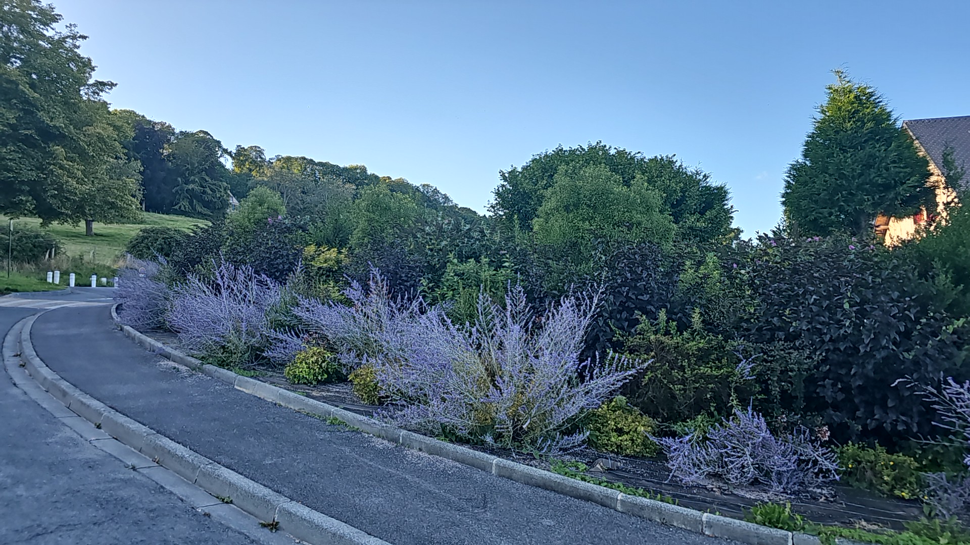 Photo n° 4 de l'avis de Filip.l fait le 20/08/2023 à 17:19