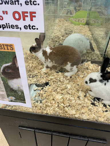 Pet Supply Store «Pet Palace Inc», reviews and photos, 253 Scranton Carbondale Hwy, Scranton, PA 18508, USA