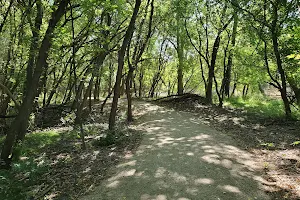 Woodland Trail image