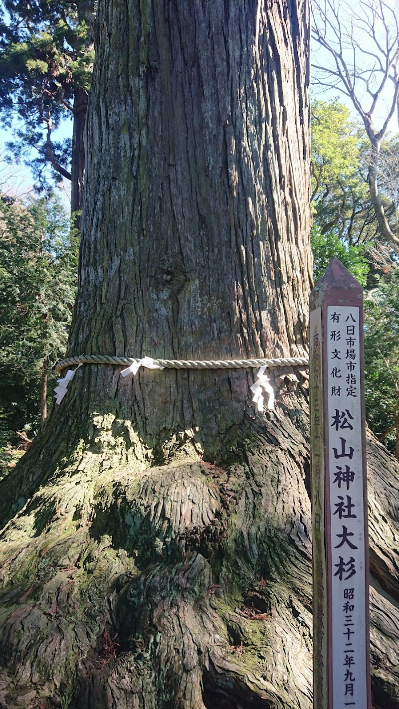 松山神社大杉(市指定天然記念物)