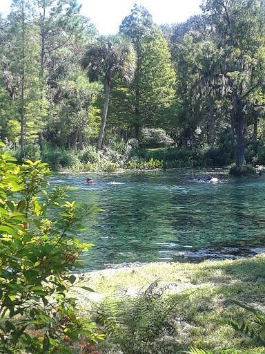 Nature Preserve «Crystal Springs Preserve», reviews and photos, 1609 Crystal Springs Rd, Crystal Springs, FL 33524, USA