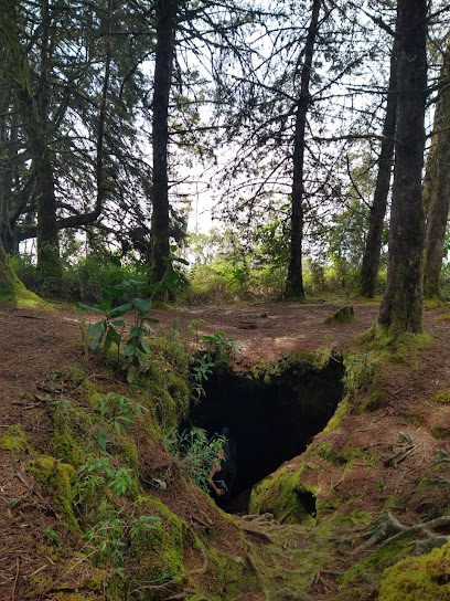 Cueva El Cura