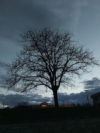 Gym «Planet Fitness», reviews and photos, 480 Port View Dr, Harrisburg, PA 17111, USA