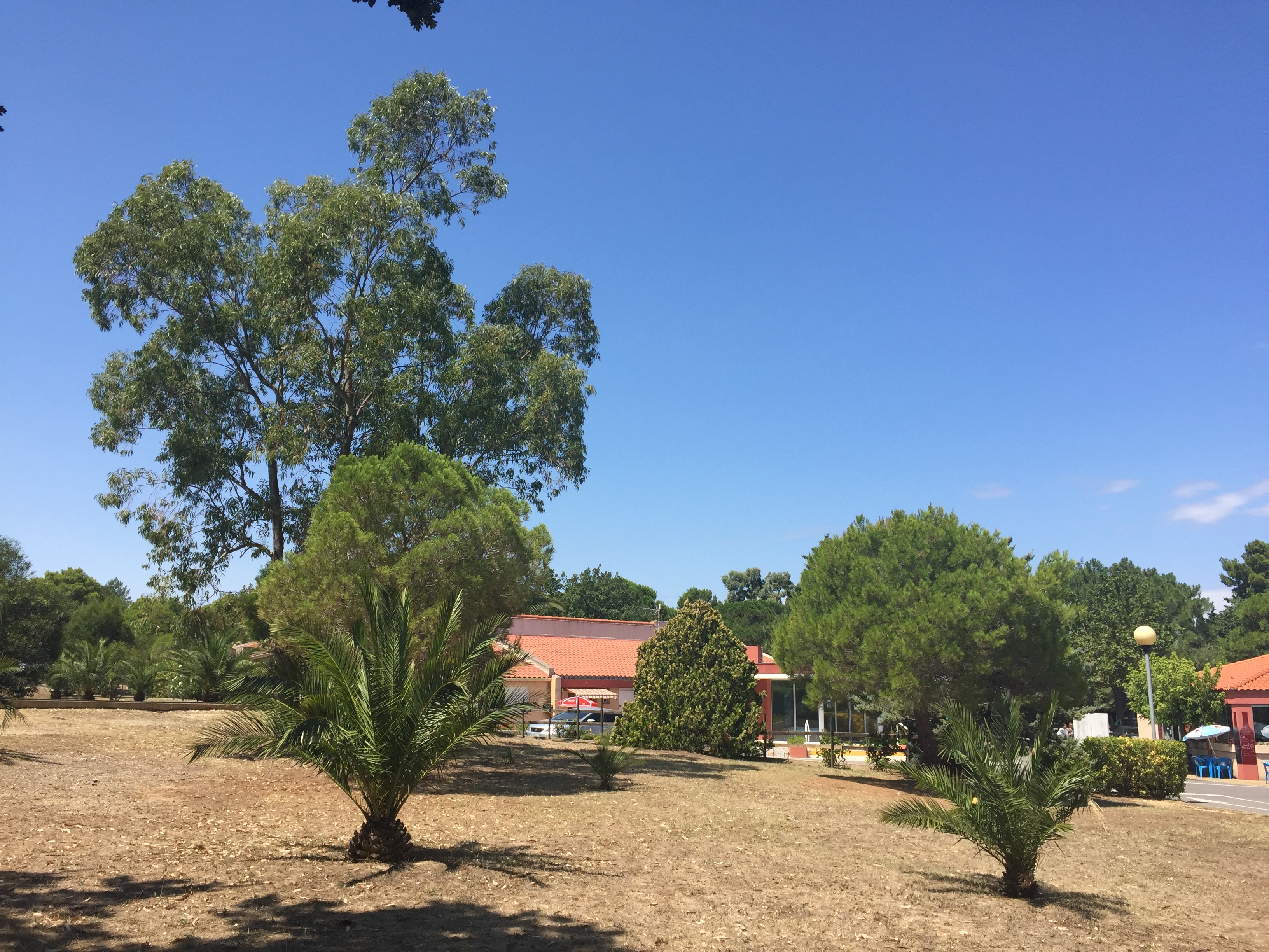 Photo n° 6 de l'avis de Virginie.a fait le 14/07/2018 à 07:10