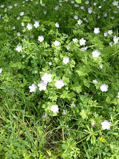 Nature Preserve «Jackson Nature Park», reviews and photos, 9284 County Rd 401, Stockdale, TX 78160, USA