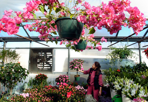 Florist «Platte Floral», reviews and photos, 1417 E Platte Ave, Colorado Springs, CO 80909, USA