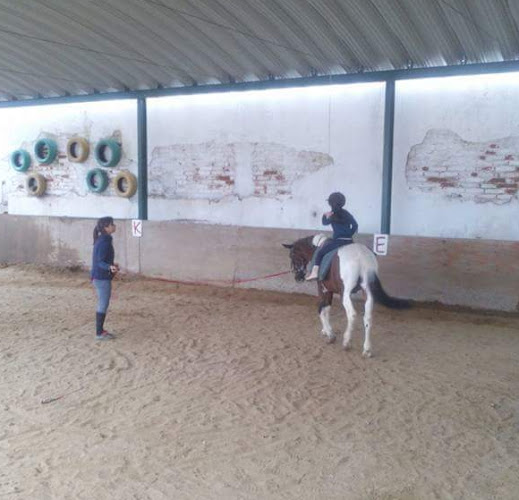 Escola de equitação Dom Pequenote - Almeirim