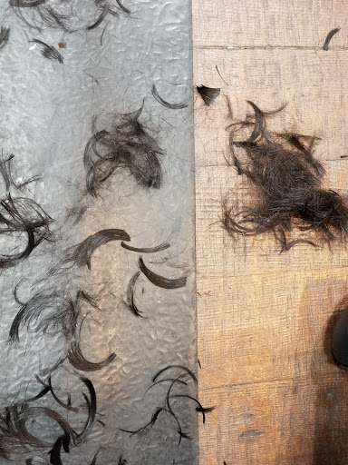 Hair Salon «Lauthr Salon», reviews and photos, 260 Petaluma Blvd N, Petaluma, CA 94952, USA