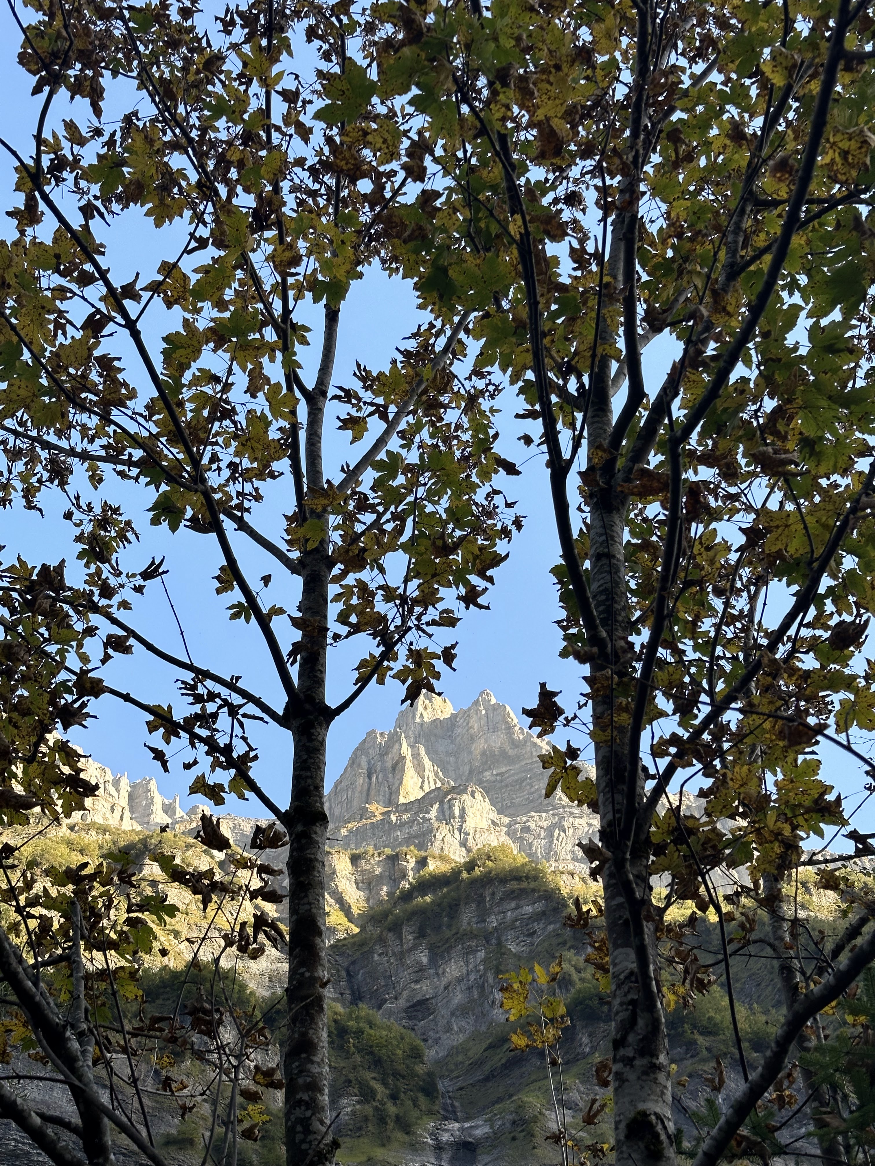 Photo n° 5 de l'avis de Sam.e fait le 27/10/2023 à 20:37