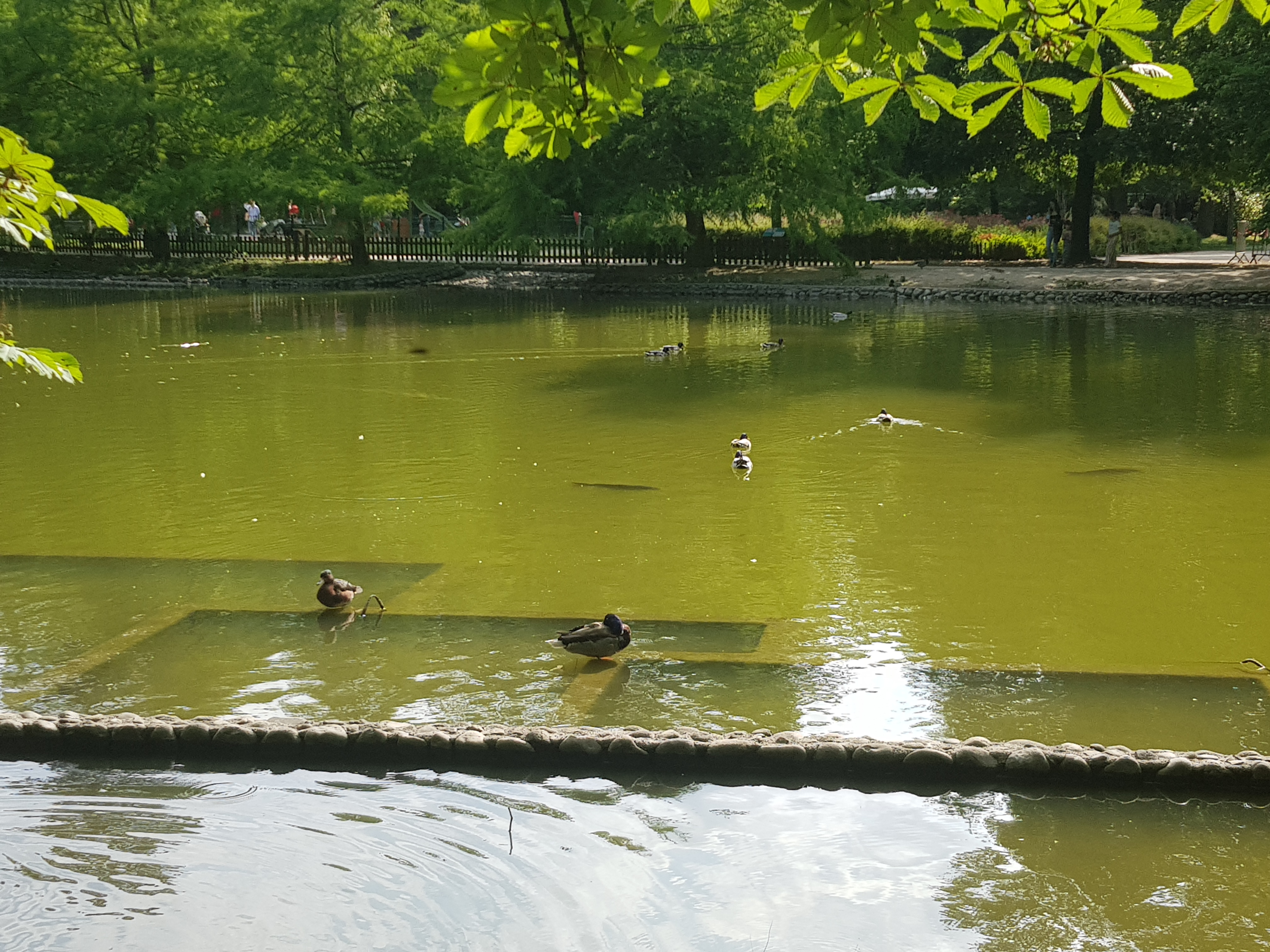 Photo n° 4 de l'avis de Marine.D fait le 09/06/2021 à 17:43
