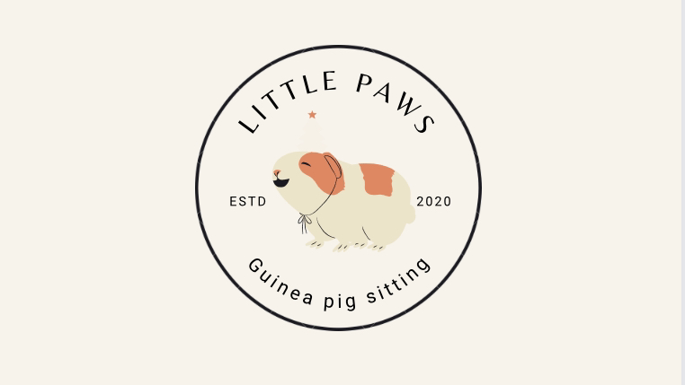 Guinea Pig Sitting Services