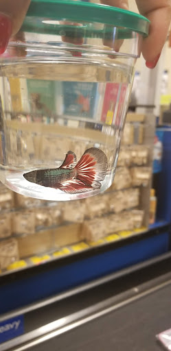 Pet Supply Store «PetSmart», reviews and photos, 3351 Jefferson Davis Hwy, Alexandria, VA 22305, USA