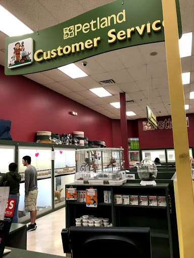 Pet Store «Petland Vineyard - San Antonio», reviews and photos, 1309 North Loop 1604 W #101, San Antonio, TX 78258, USA