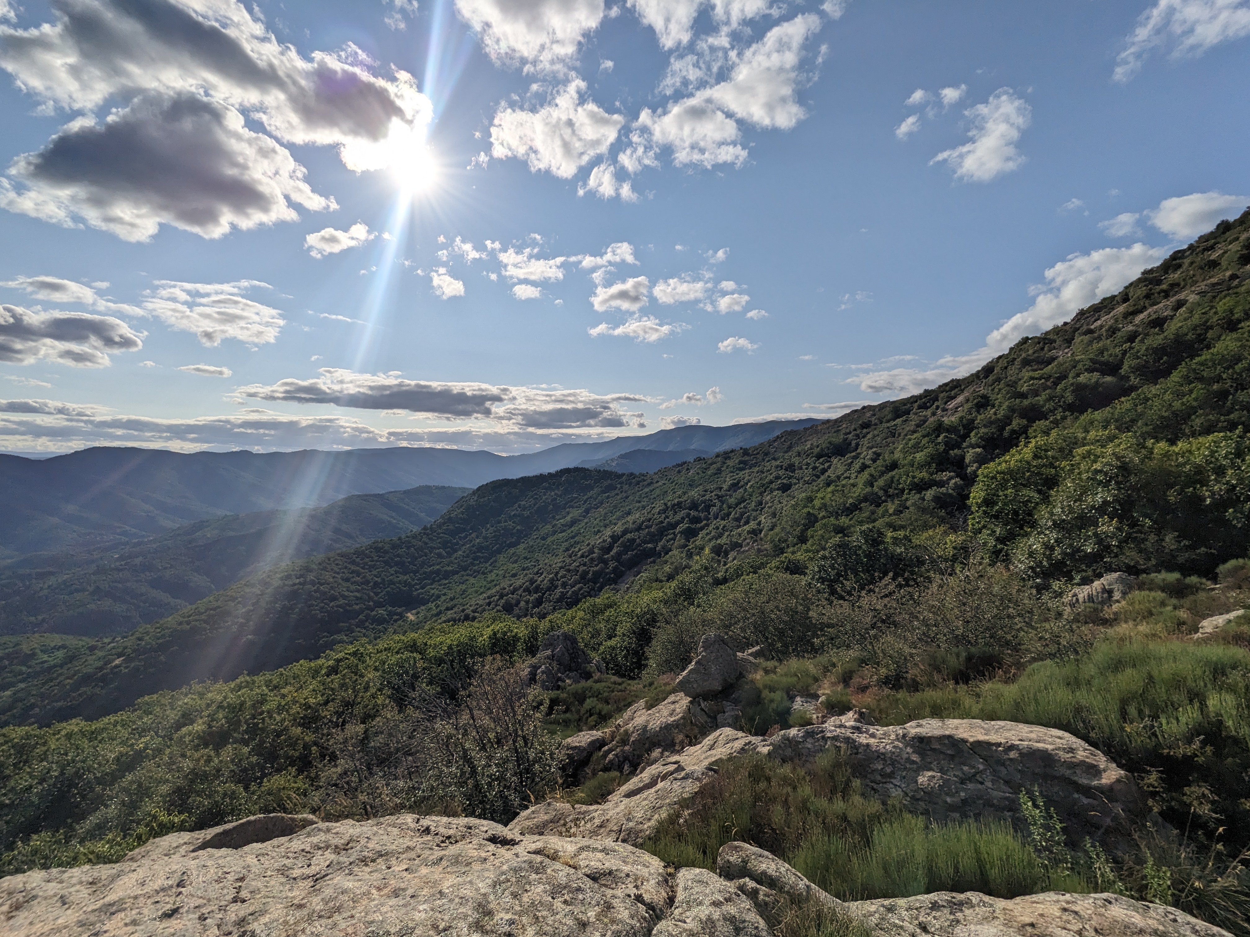 Photo n° 3 de l'avis de dlld.d fait le 10/08/2023 à 10:27