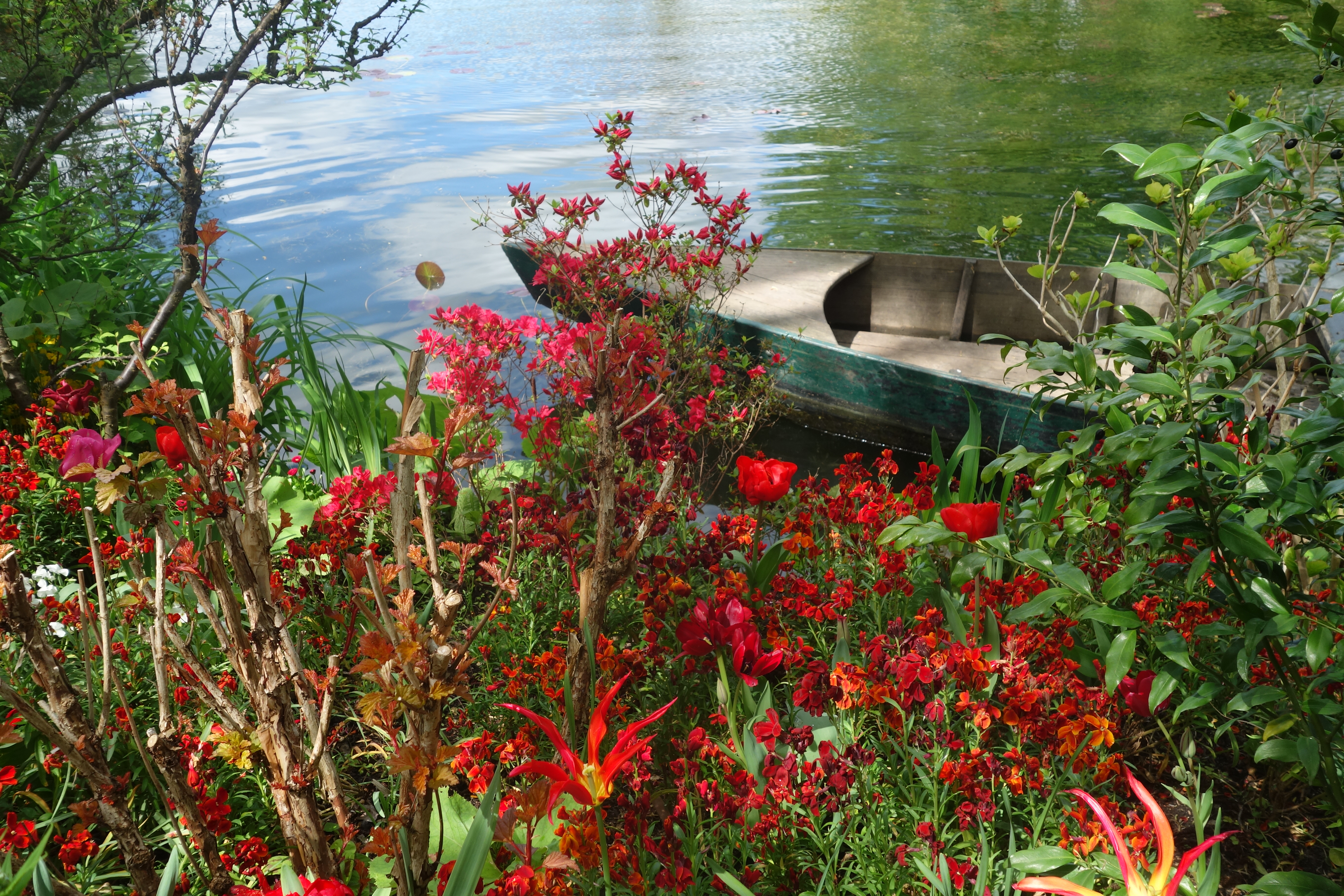 Photo n° 2 de l'avis de Michèle.e fait le 22/02/2024 à 17:42