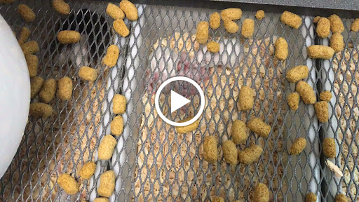 Pet Supply Store «Pet Supply Santa Clarita», reviews and photos, 26831 Bouquet Canyon Rd, Santa Clarita, CA 91350, USA