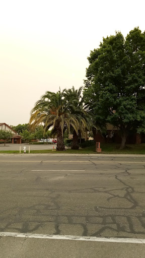 Dessert Shop «Family Donuts & Deli», reviews and photos, 9045 Fair Oaks Blvd, Carmichael, CA 95608, USA