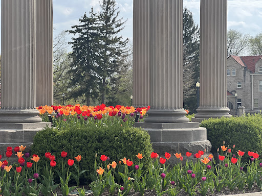 Orchard «The Orchard Shop», reviews and photos, 311 W St Joseph St, Muncie, IN 47303, USA