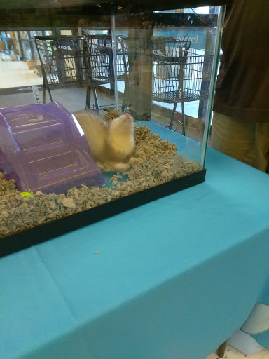 Pet Supply Store «Petco Animal Supplies», reviews and photos, 5565 S Virginia St, Reno, NV 89502, USA