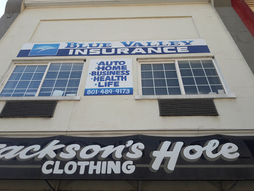 Blue Valley Insurance, 276 S Main St, Springville, UT 84663, Insurance Agency