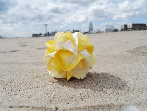 Aquarium «New York Aquarium», reviews and photos, 602 Surf Ave, Brooklyn, NY 11224, USA