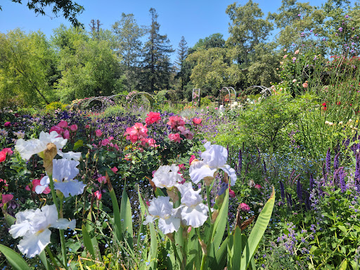Descanso Gardens image