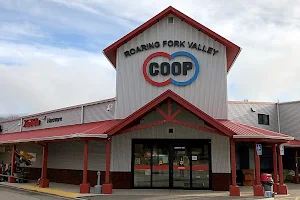 Roaring Fork Valley Coop image