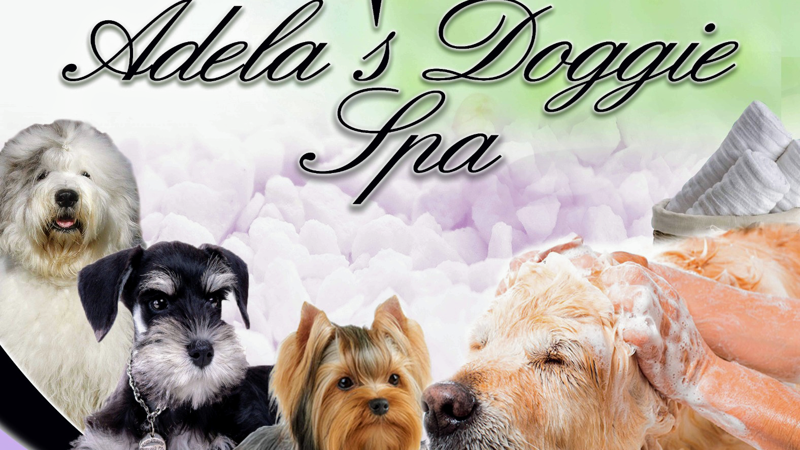 Adela's Doggie Spa