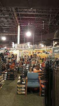 JAX Lafayette Farm & Ranch - Photo 5 - Car repair in Lafayette, CO, Thornton