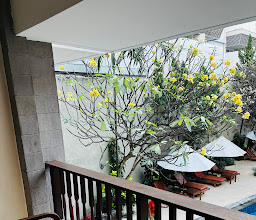 The Rani Hotel & Spa photo