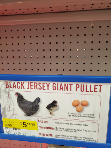 Animal Feed Store «Wilco Farm Store», reviews and photos, 19224 S Molalla Ave, Oregon City, OR 97045, USA