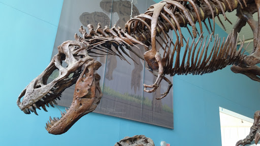 Imax Theater «IMAX at the Maryland Science Center», reviews and photos, 601 Light St, Baltimore, MD 21230, USA