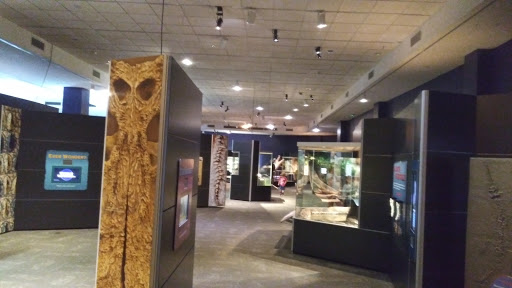 Natural History Museum «Fernbank Museum of Natural History», reviews and photos, 767 Clifton Rd, Atlanta, GA 30307, USA