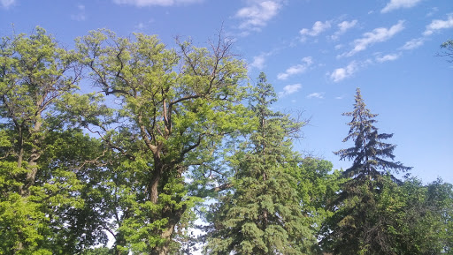 Park «Van Cleve Park Rink», reviews and photos, 901 15th Ave SE, Minneapolis, MN 55414, USA