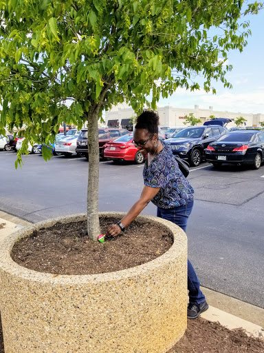 Variety Store «Five Below», reviews and photos, 1417 S Main Chapel Way, Gambrills, MD 21054, USA