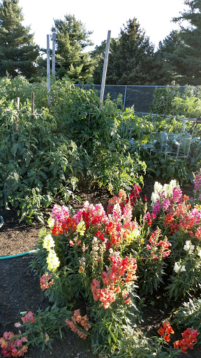 Nature Preserve «Stage Nature Center», reviews and photos, 6685 Coolidge Hwy, Troy, MI 48098, USA