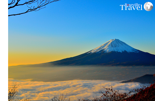 Travel Agency «Roseville Travel», reviews and photos, 201 Pacific St, Roseville, CA 95678, USA