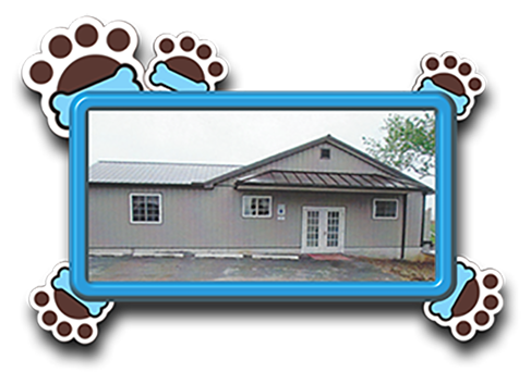 Pet Store «AA Ridgewood Kennels II», reviews and photos, 5401 Lincoln Hwy, Gap, PA 17527, USA