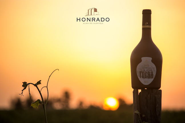 Avaliações doVinho de Talha Natural | Honrado Vineyards em Vidigueira - Outro