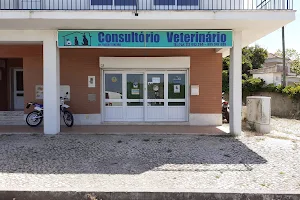 Consultório Veterinário Dr. Tiago Teixeira image