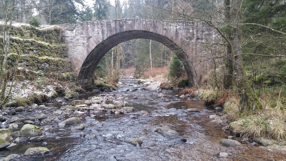 LOCATION GERARDMER à Gérardmer (Vosges 88)